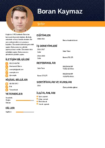 Şoför Cv Örnekleri cv indir